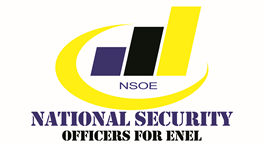 Logo NSOE